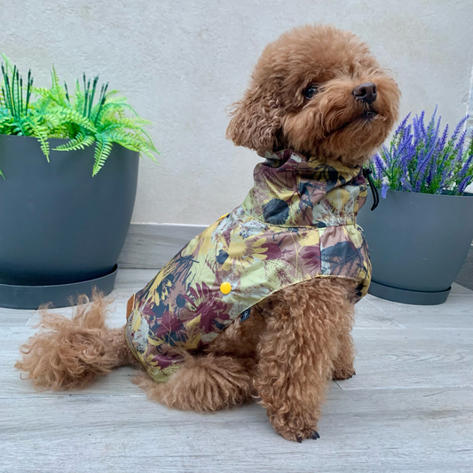 Lambskin Aviator Coat