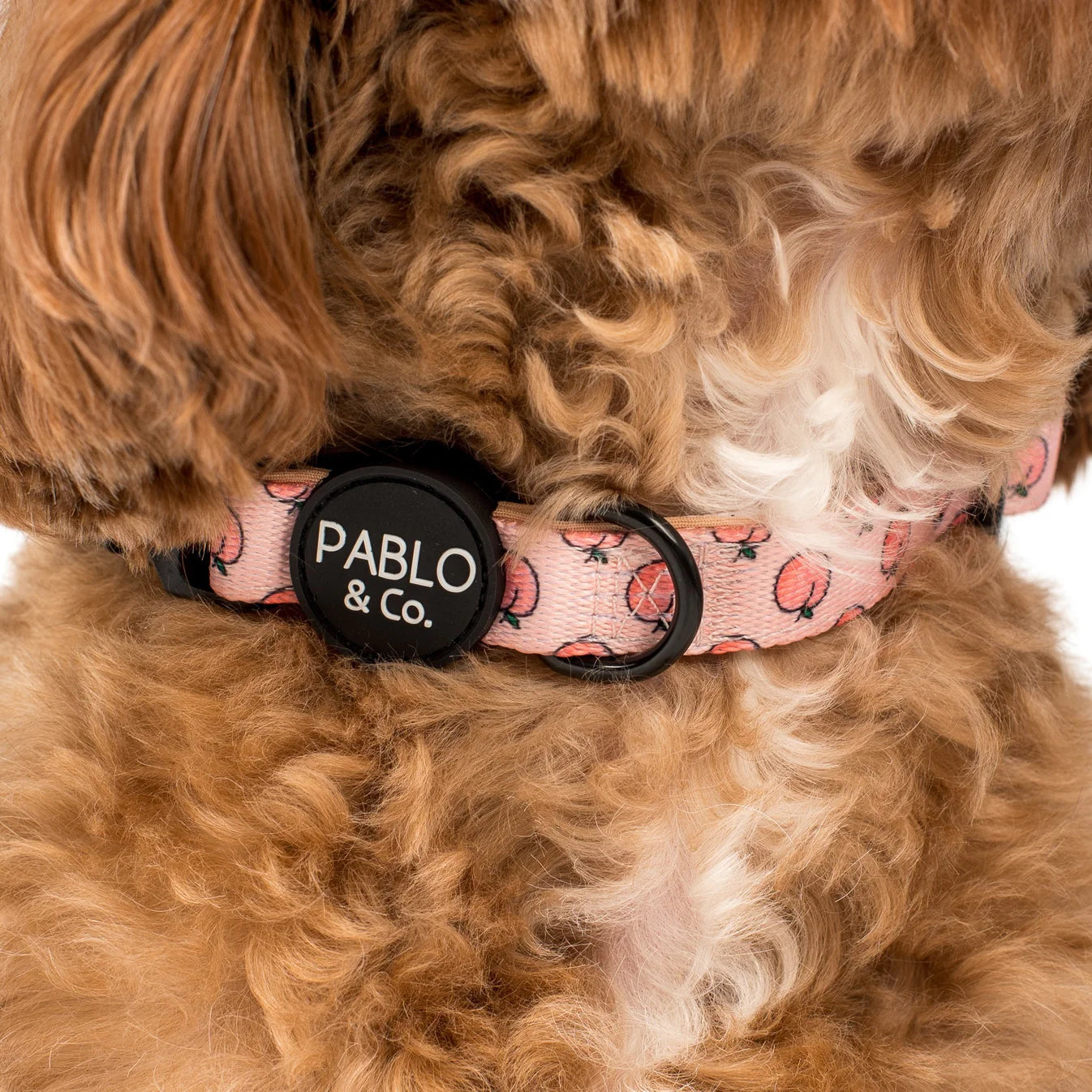 Collar Peaches