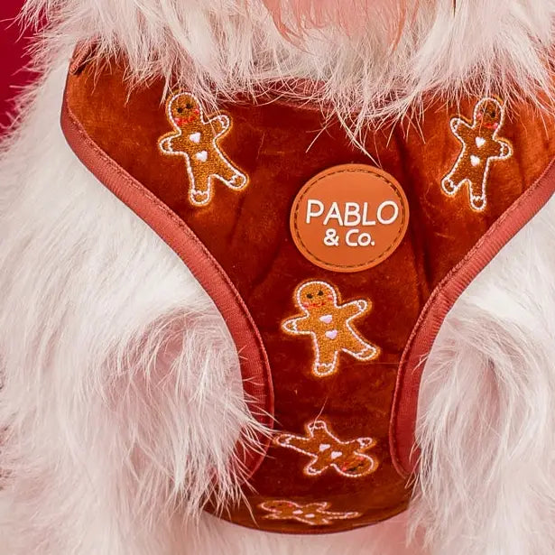 Harness Adjustable-Bogota