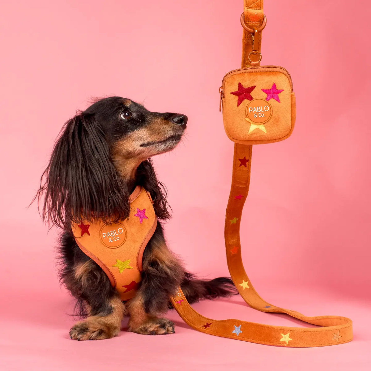 Mini bolso Orange Velvet (VENTA PRIVADA)