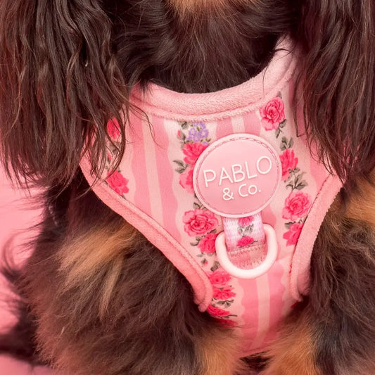 Arnés Ajustable Vintage Rose (VENTA PRIVADA)