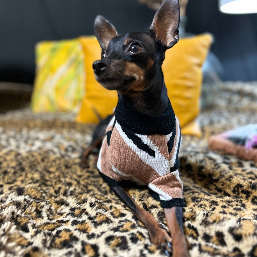 Jersey Caramel Zebra