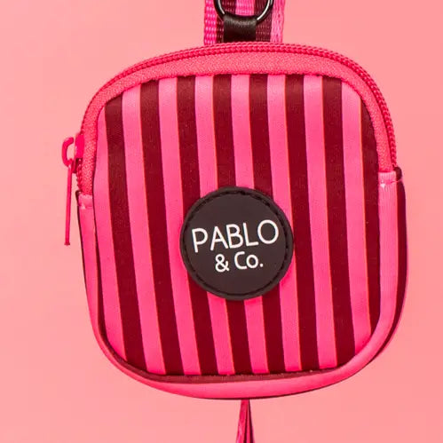 Mini bolso Pink Sunday (VENTA PRIVADA)