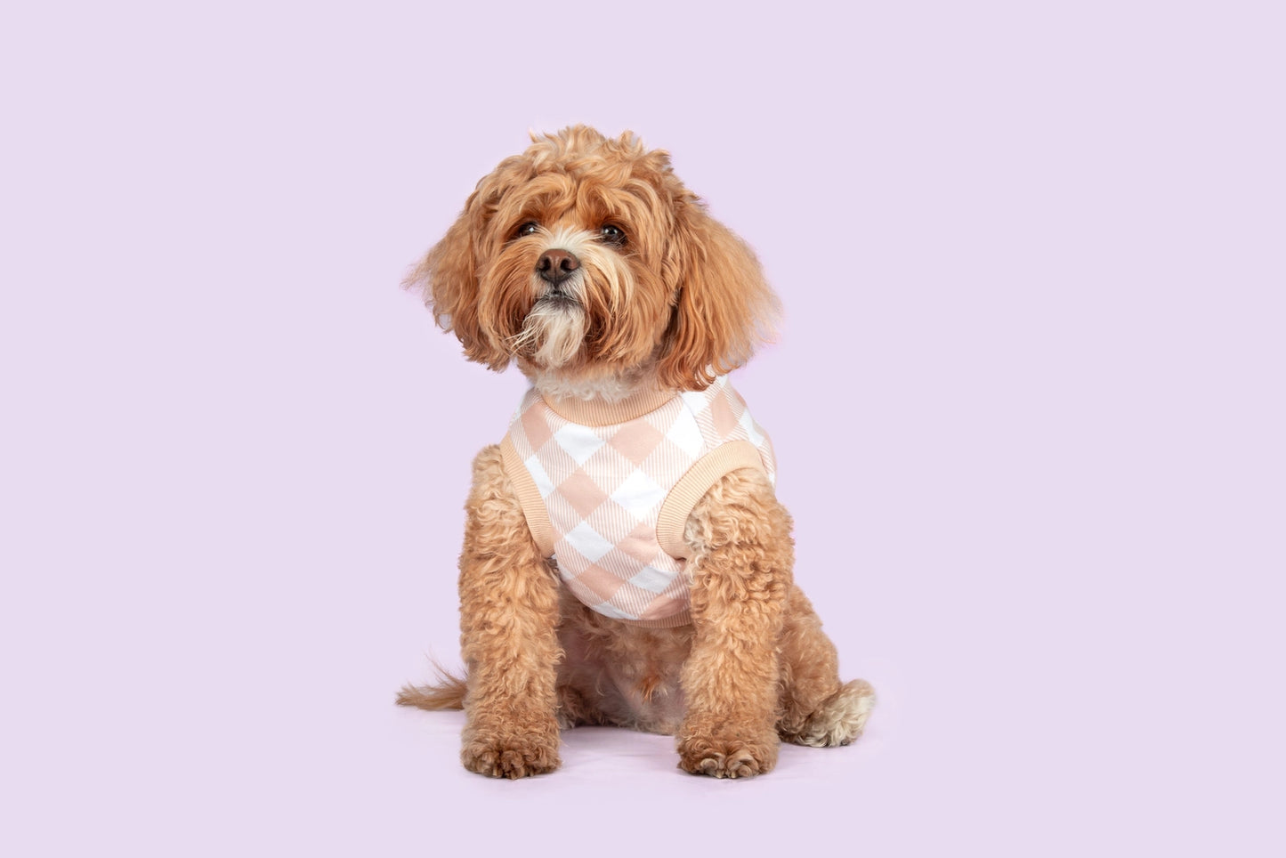 Rombo Vichy pink bag dispenser