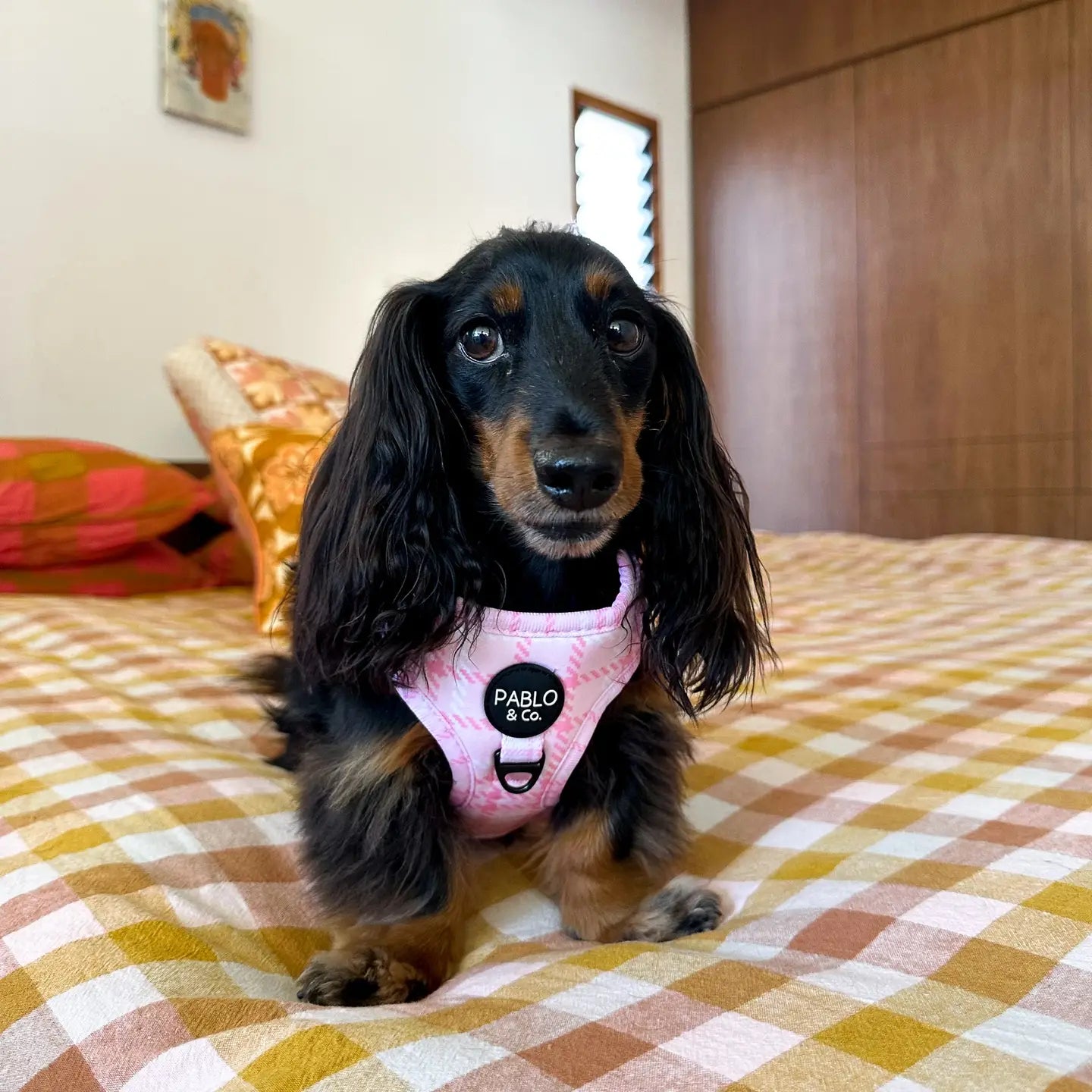 Arnés Ajustable Pink Houndstooth