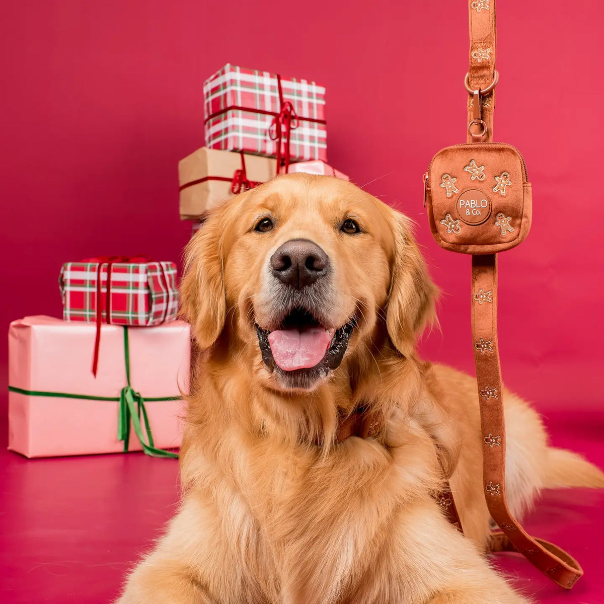 Mini bolso Gingerbread