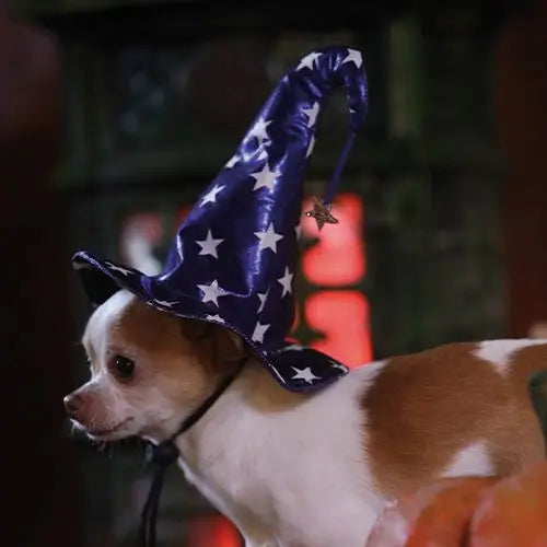 Gorro Sarah