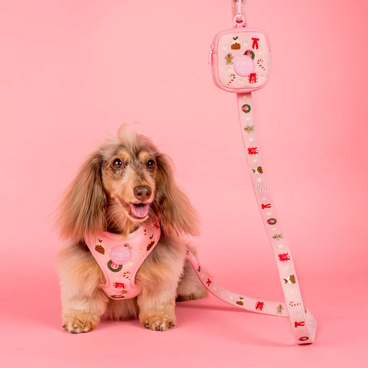 Harness Adjustable-Bogota