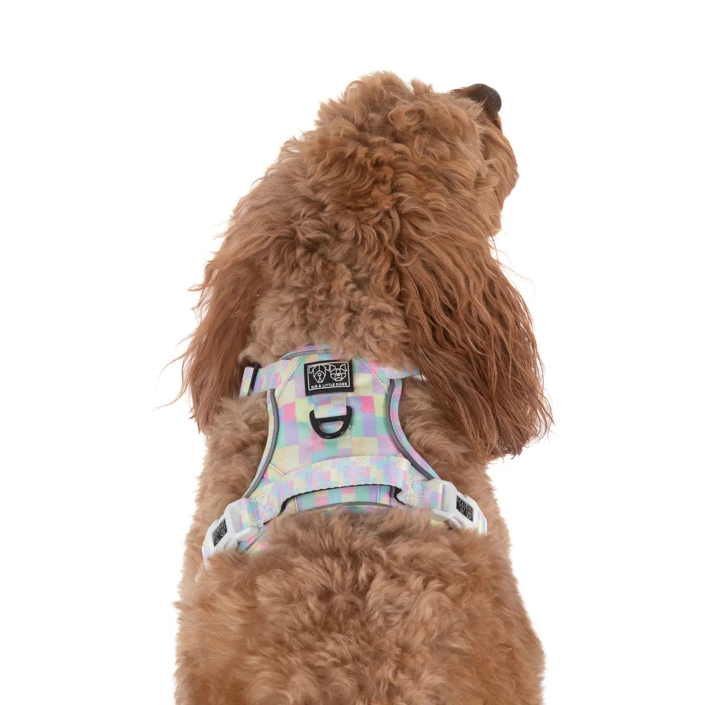 Arnés anti-tirones Gelato