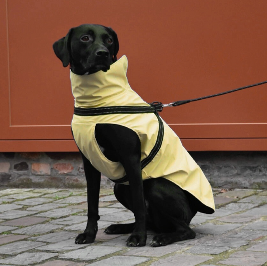 Abrigo impermeable Tom