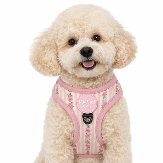 Arnés Body Vintage Rose