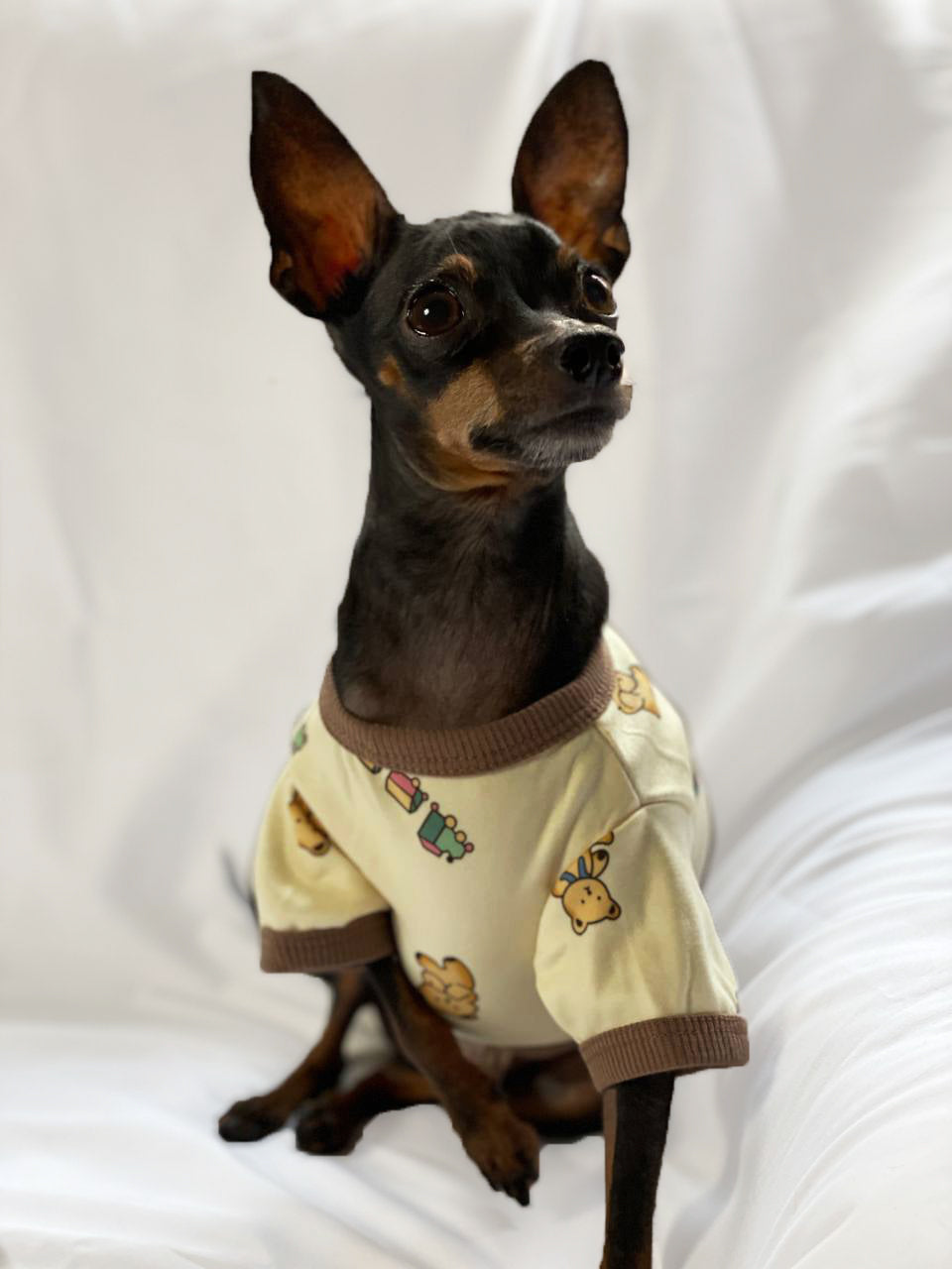 Pijama Baby Bear