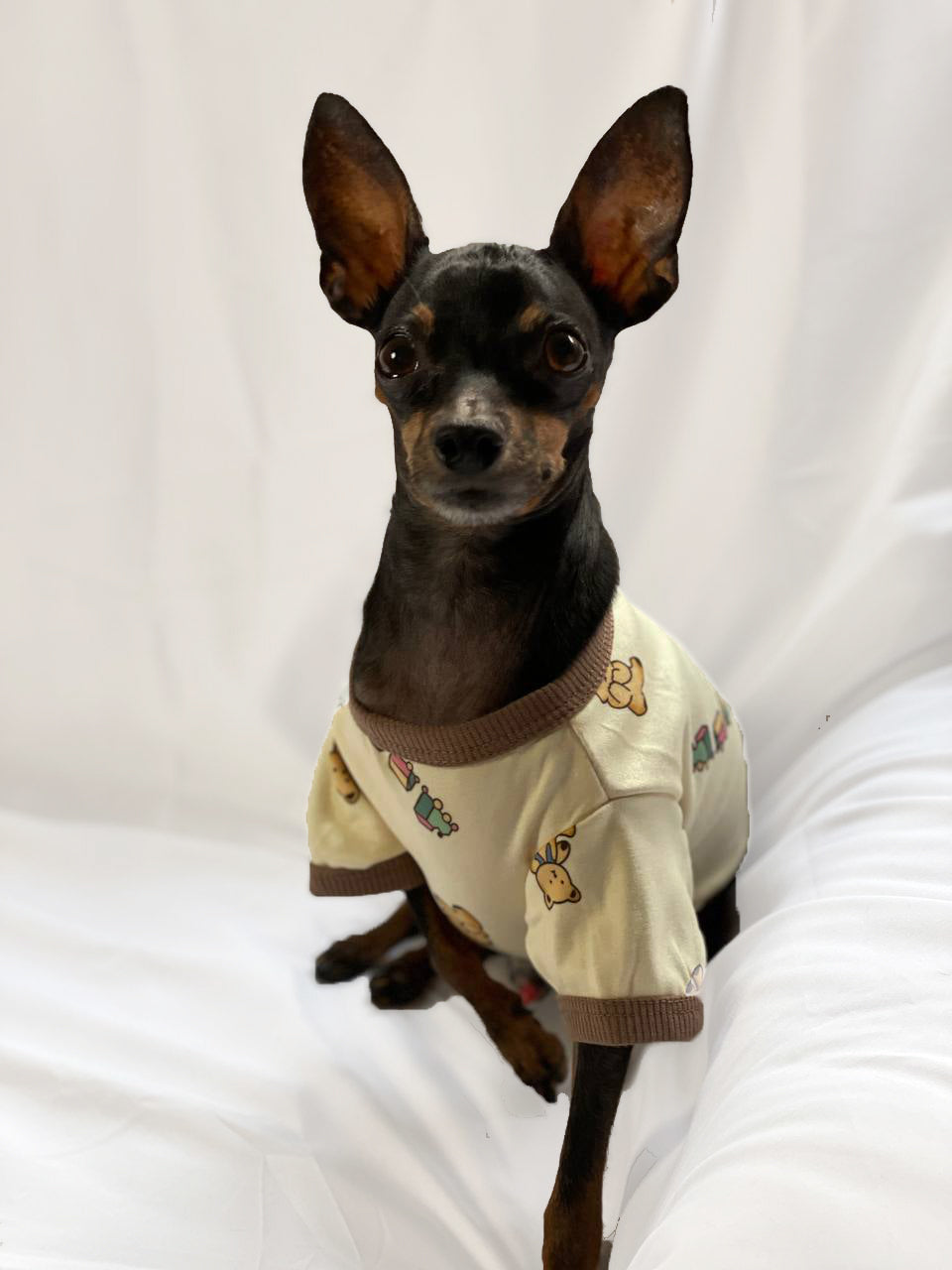 Pijama Baby Bear