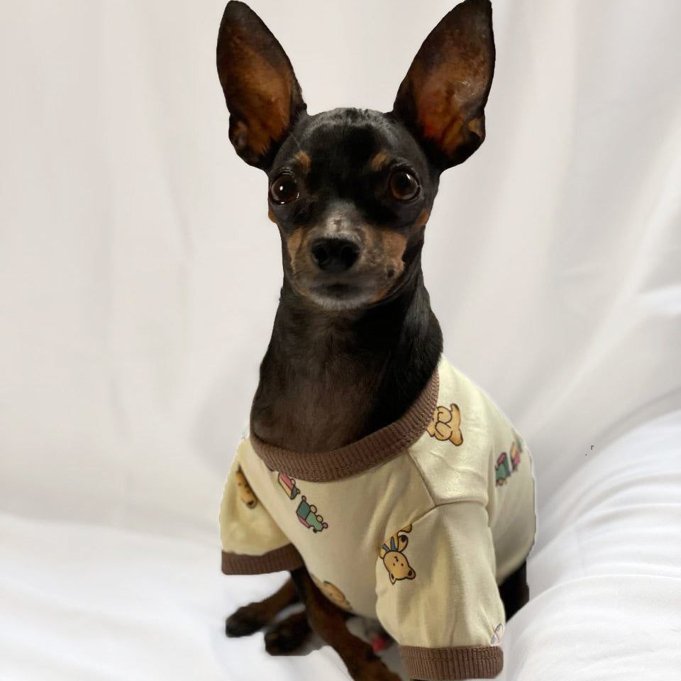 Coat Dolly