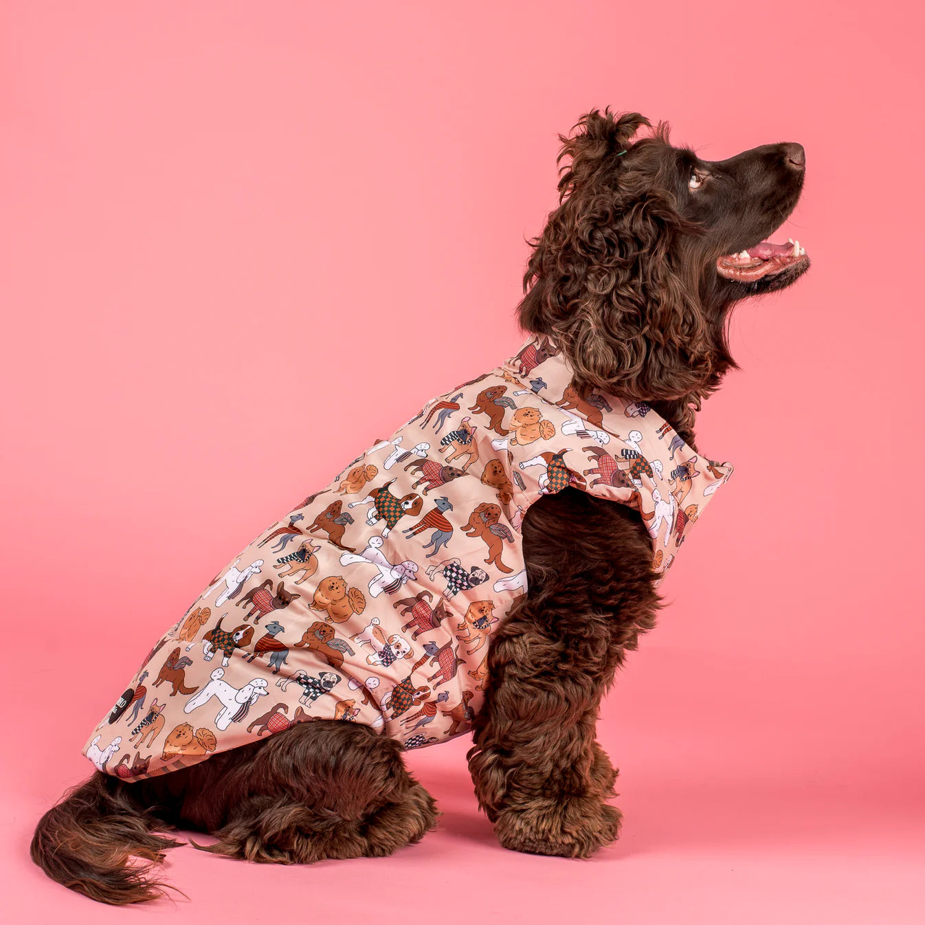 Abrigo reversible Furry Friends