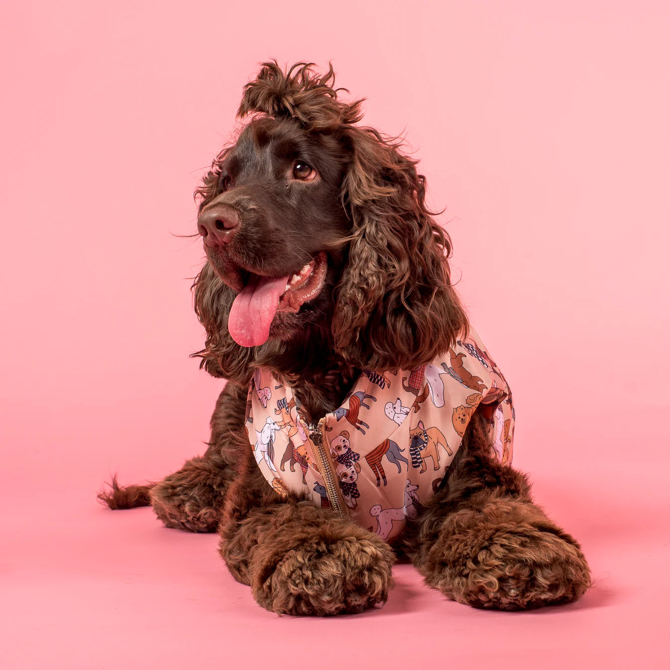 Abrigo reversible Furry Friends