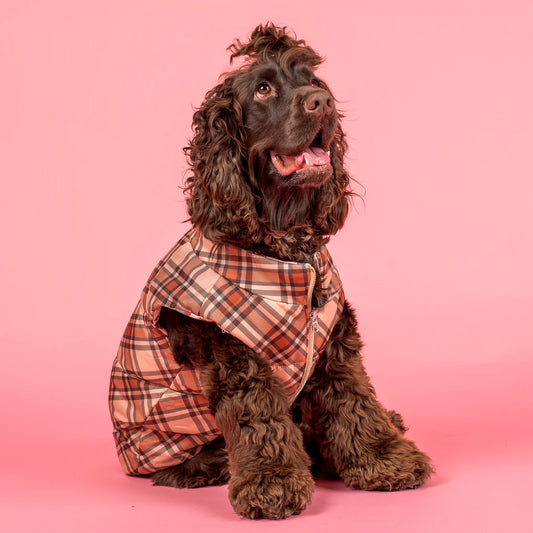 Abrigo reversible Furry Friends