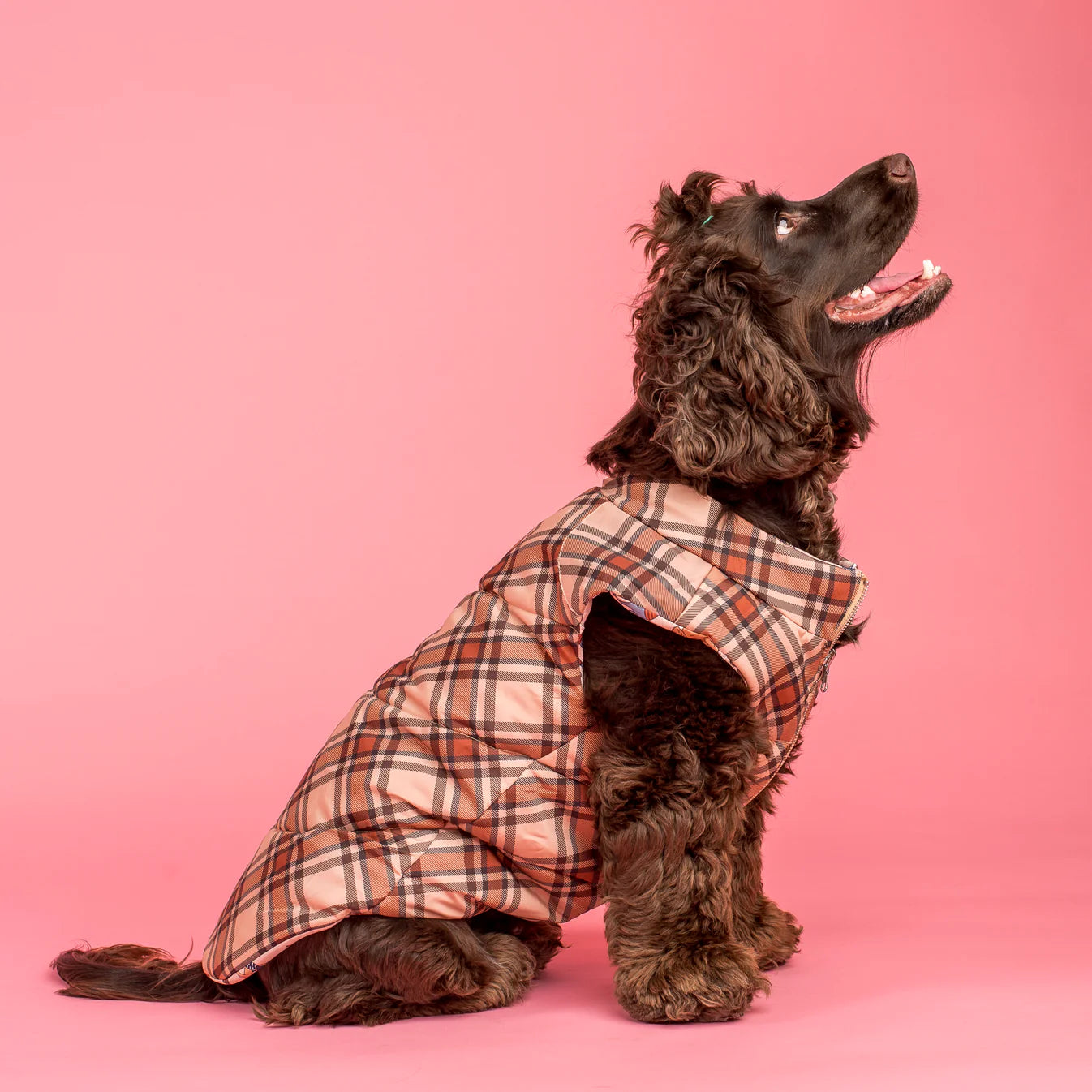 Abrigo reversible Furry Friends
