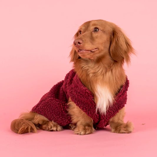 Harness Adjustable-Bogota