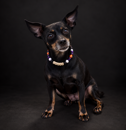 Collar Igor