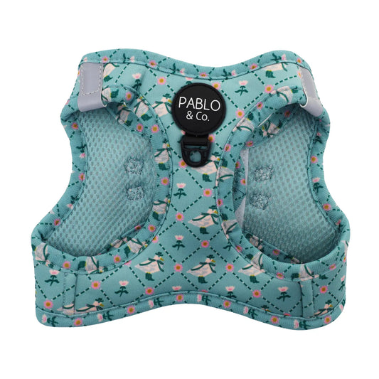 Pack - Arnés Body Gansos