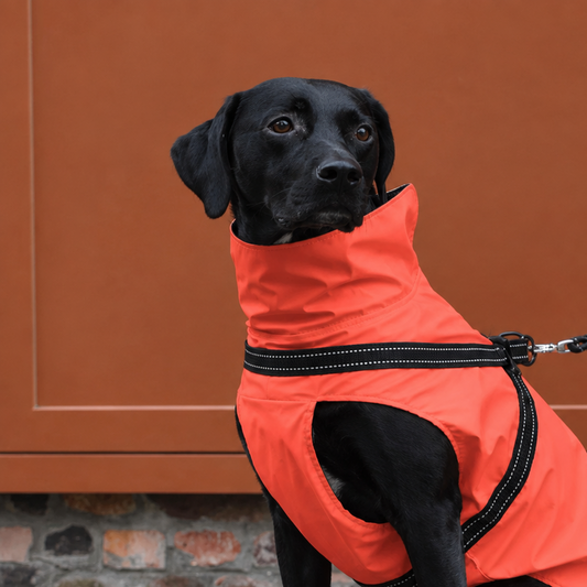 Abrigo impermeable Tom Coral