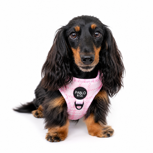 Arnés Ajustable Pink Houndstooth