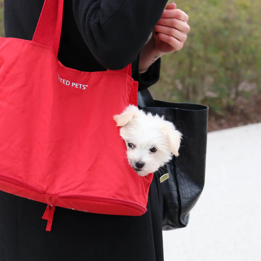 Bolso transportín Lazy Dog rojo