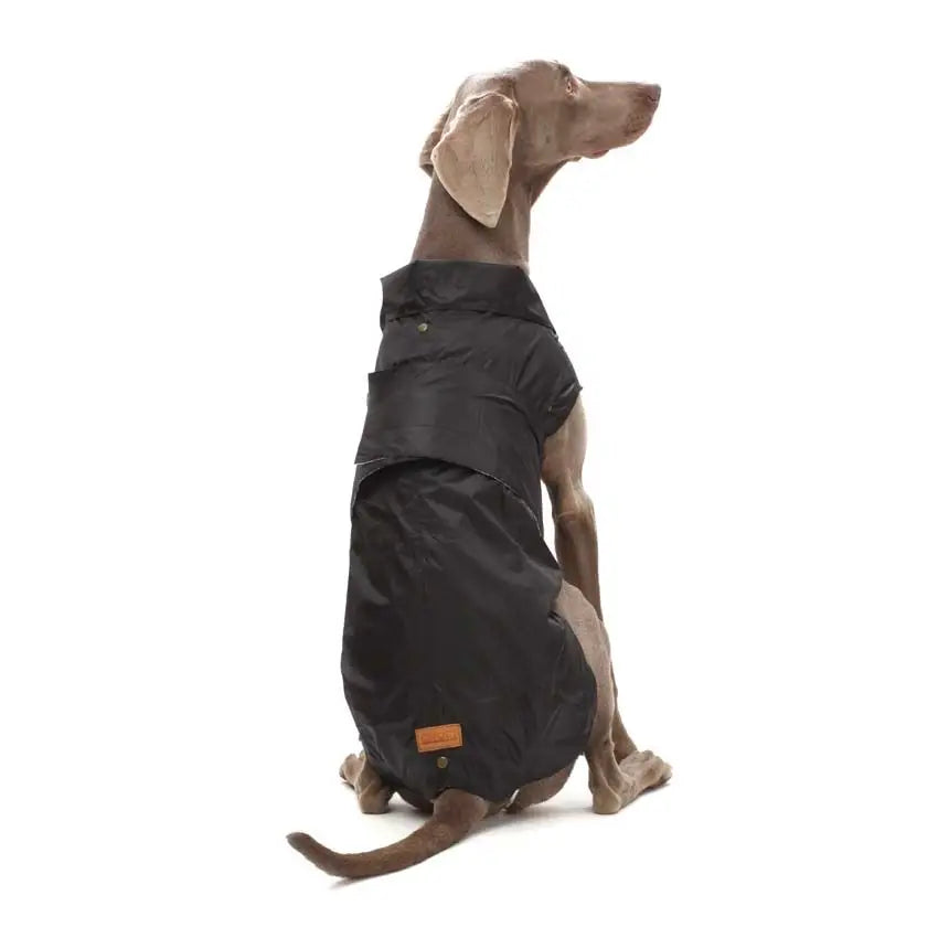 Trench impermeable Pierre