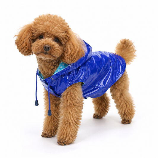 Lambskin Aviator Coat
