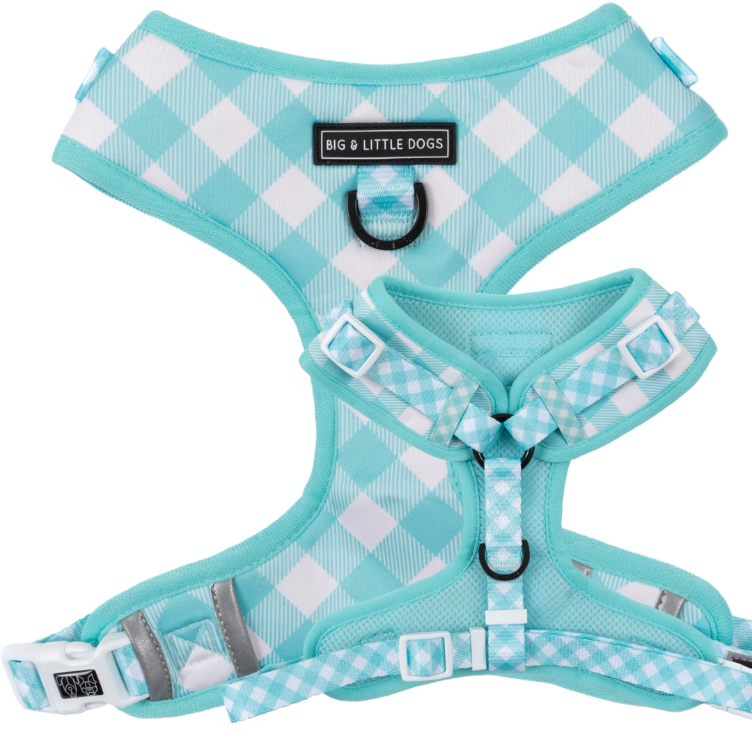 Arnés ajustable Blue Vichy XS