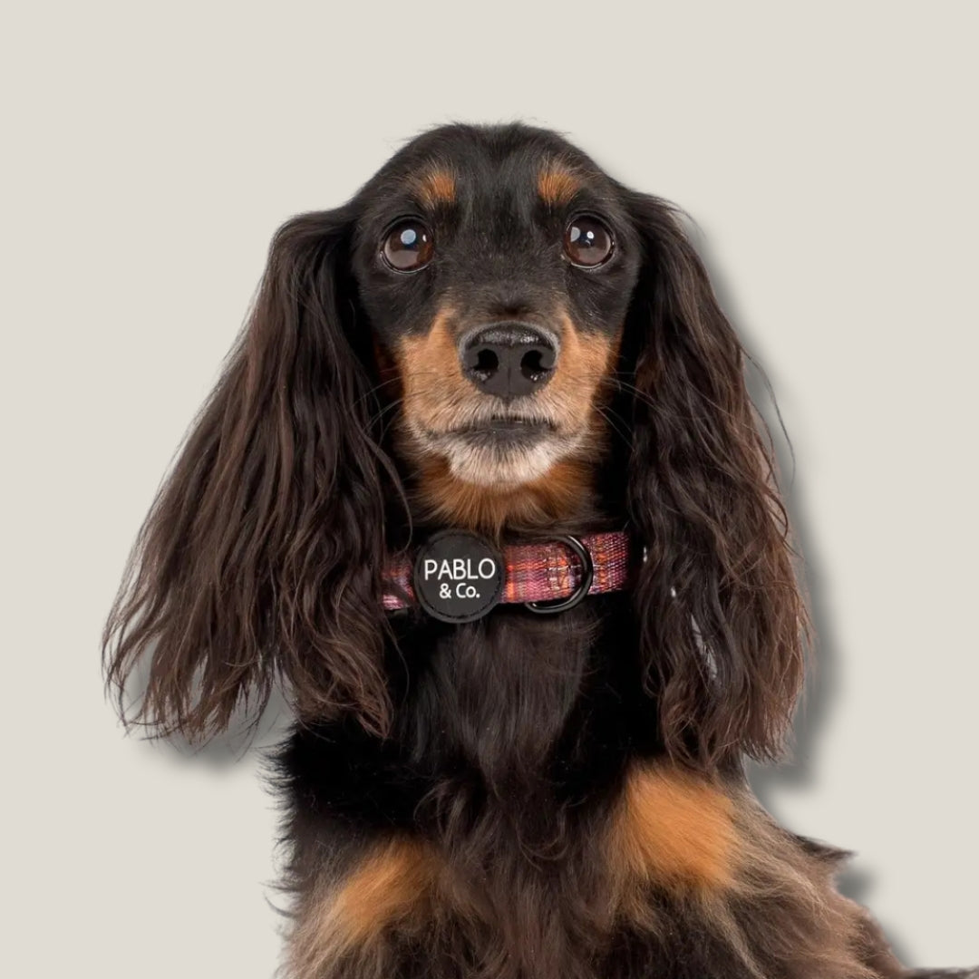 Rebajas Accesorios de paseo