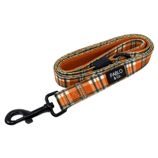 Correa Vintage Plaid (VENTA PRIVADA)