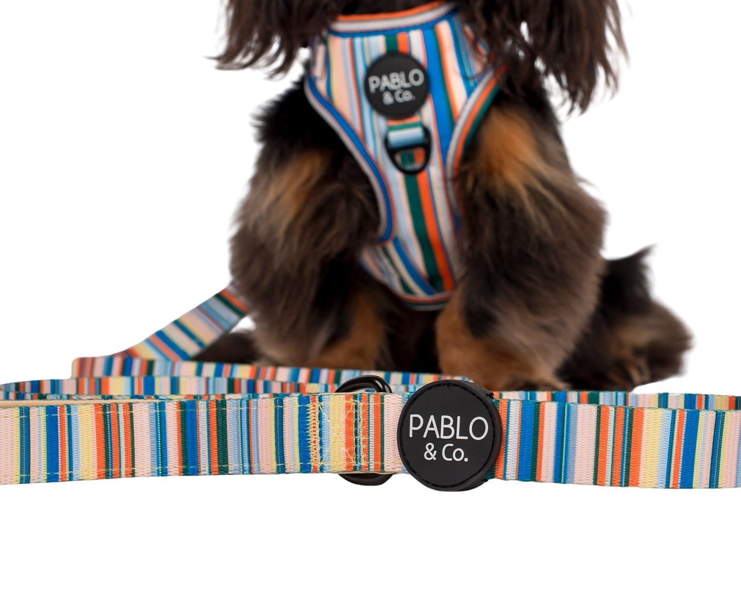 Harness Adjustable-Bogota