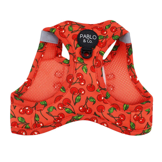 Arnés Body Cherry S