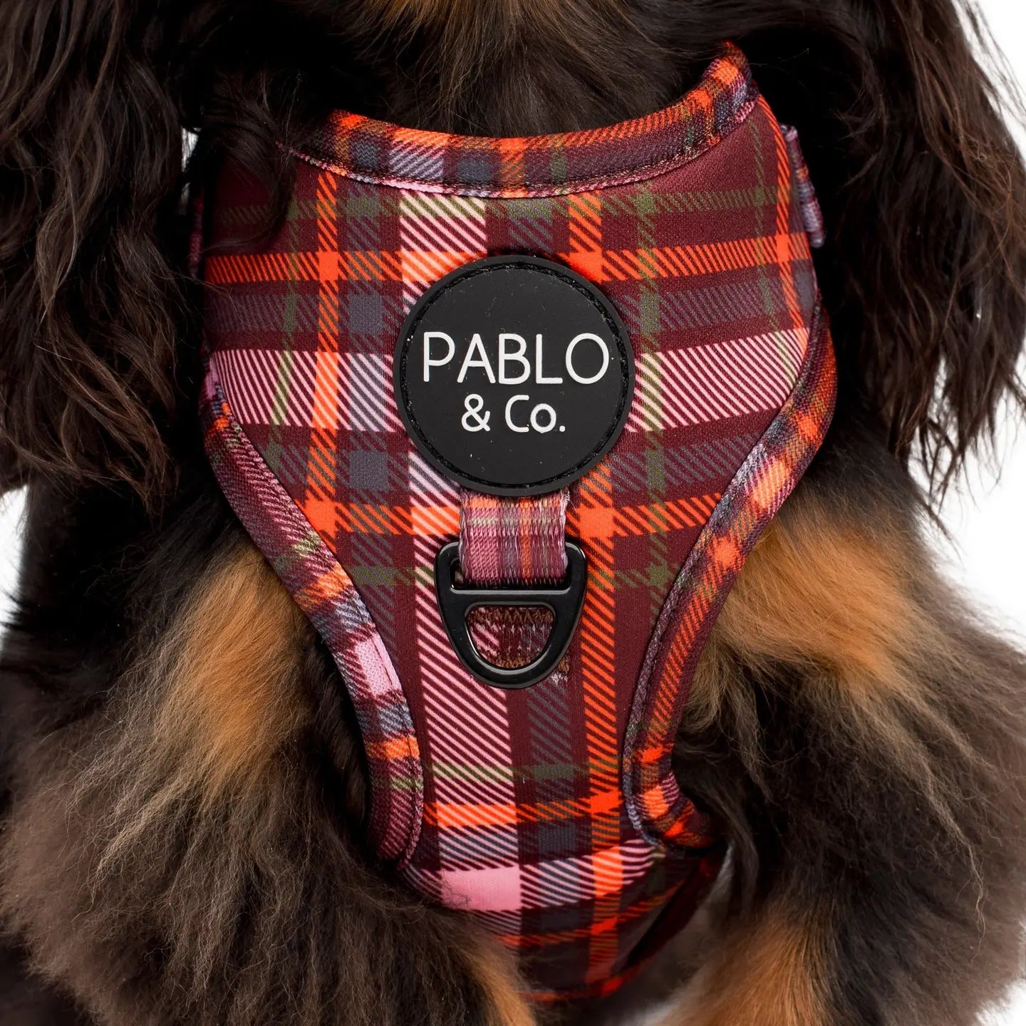 Harness Adjustable-Bogota