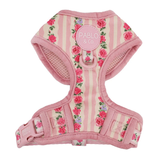 Arnés Ajustable Vintage Rose (VENTA PRIVADA)