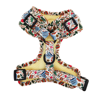Harness Adjustable-Bogota