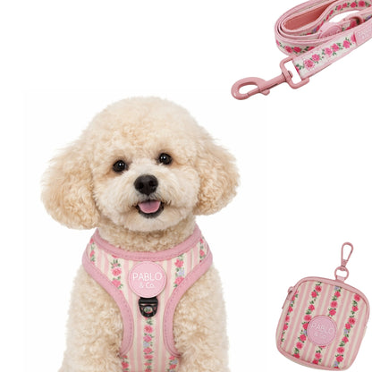 Pack Arnés Body + correa + bolso