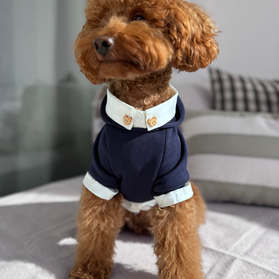 Camisa Teddy Dog