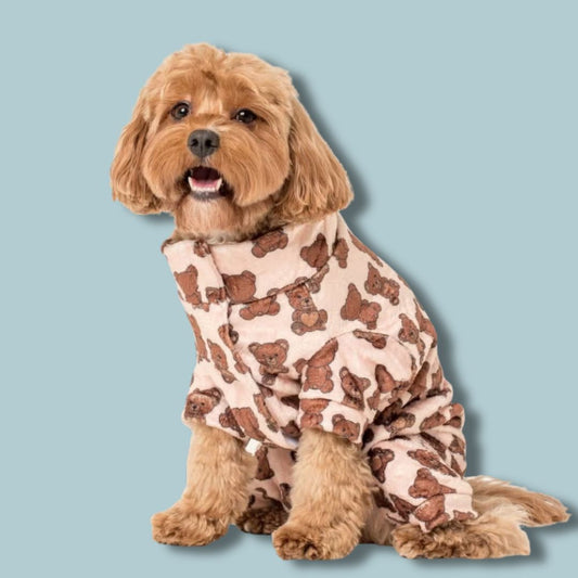 Abrigo Teddy Dog