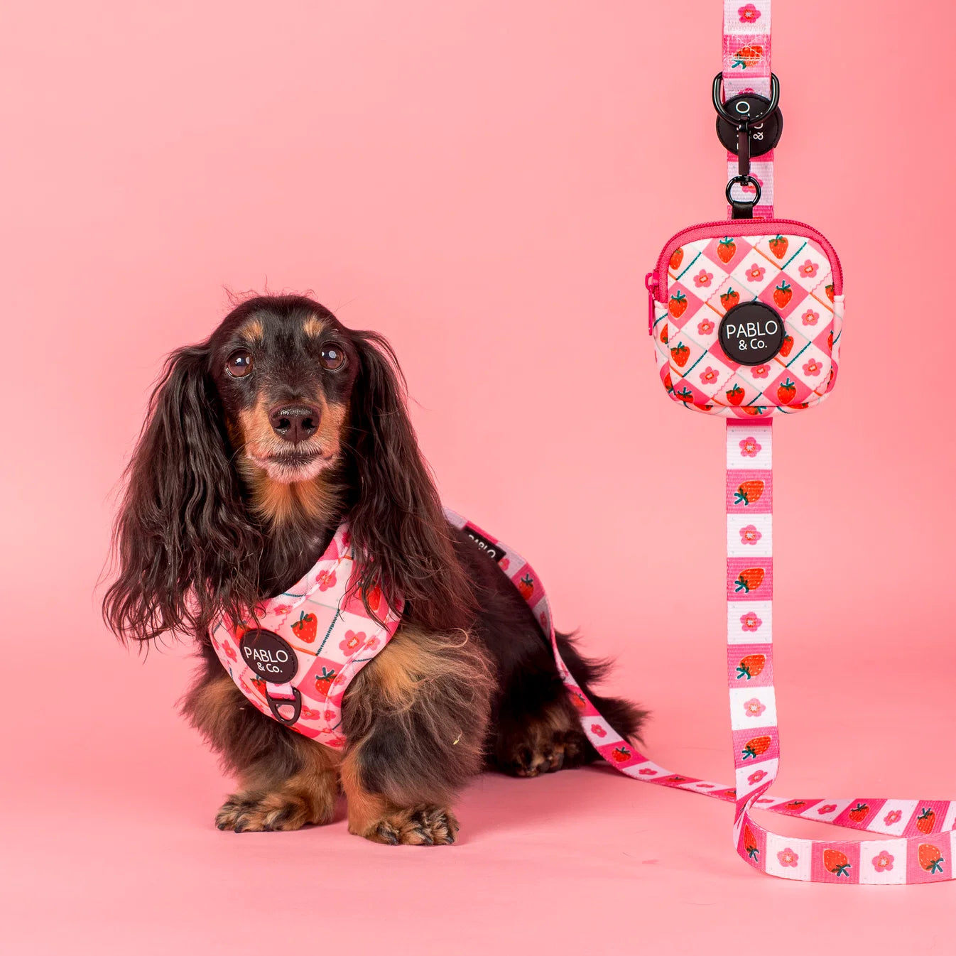 Harness Adjustable-Bogota