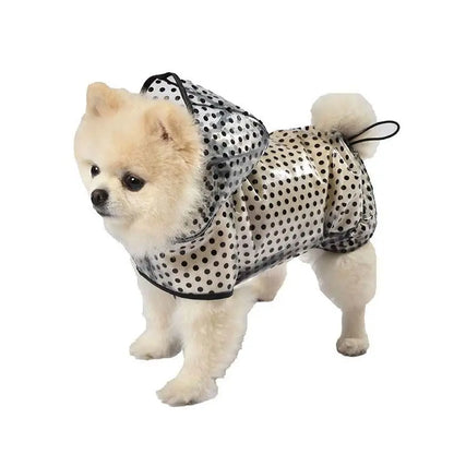 Chubasquero Dots