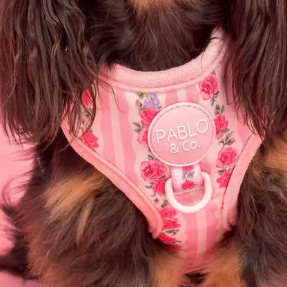 Arnés Ajustable Vintage Rose (VENTA PRIVADA)