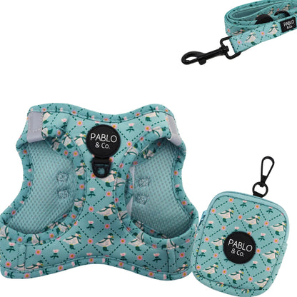 Pack - Arnés Body Gansos