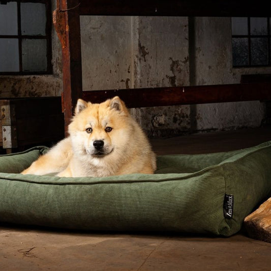 Cama William 80x65 cm