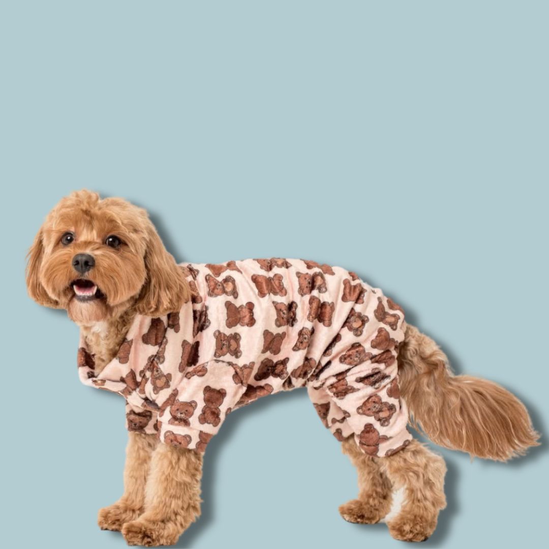 Abrigo Teddy Dog
