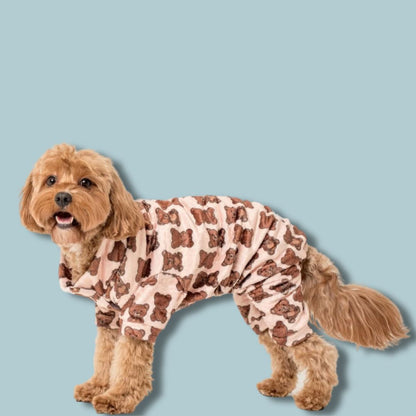 Abrigo Teddy Dog