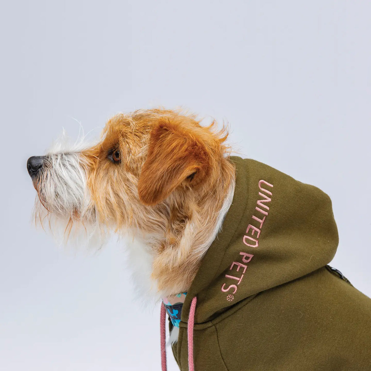 Sudadera United Pets
