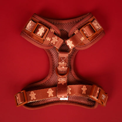 Harness Adjustable-Bogota